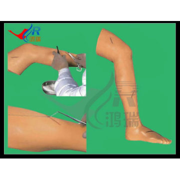 HR / LV2 jambe chirurgicale de suture chirurgicale avancée, modèle de formation chirurgicale
